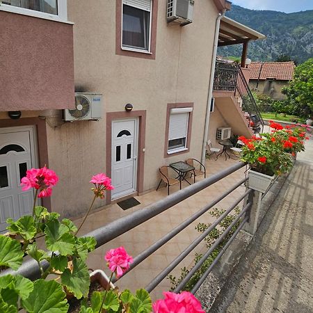 Apartment Aleksandar Kotor Dış mekan fotoğraf