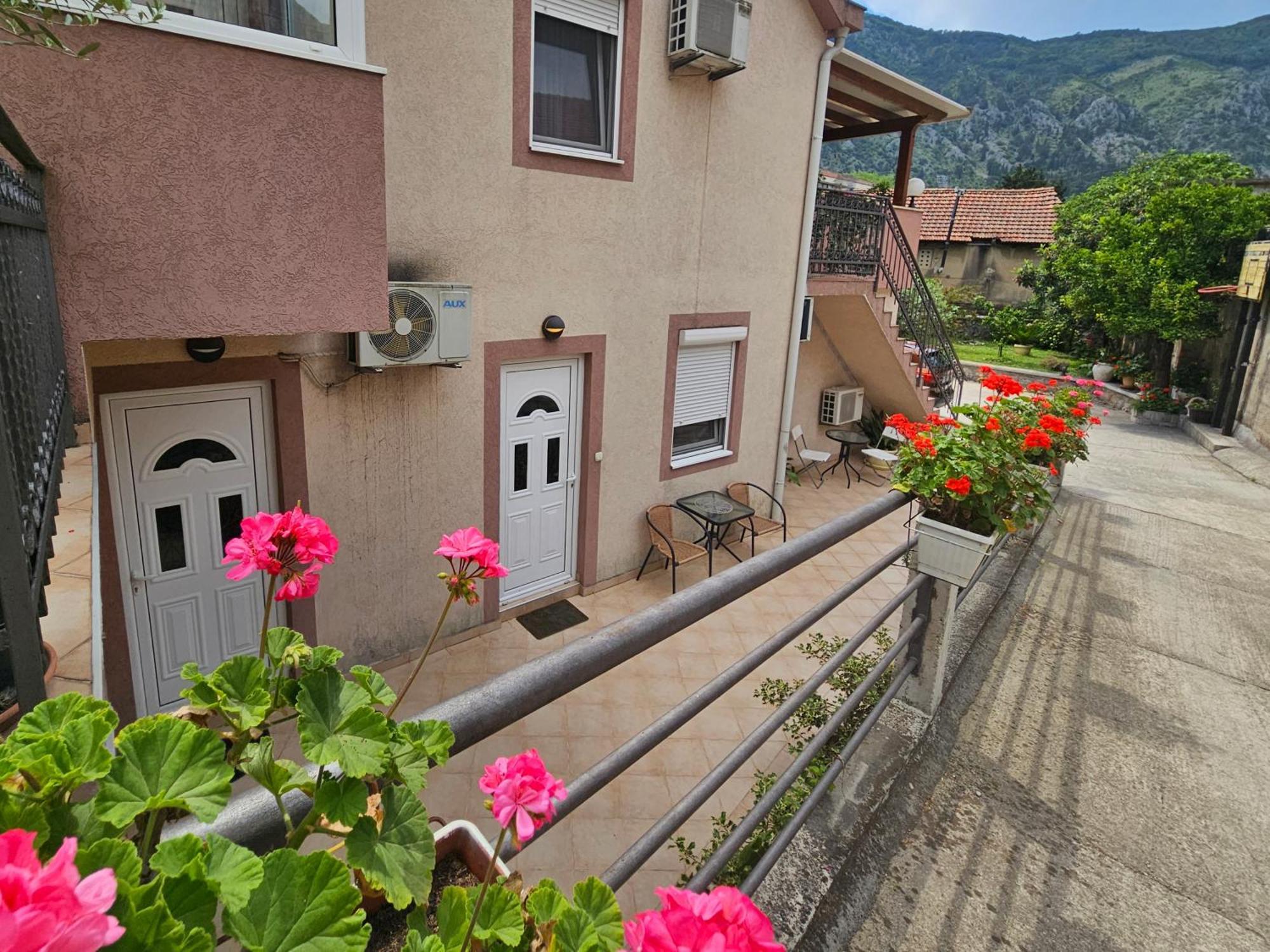 Apartment Aleksandar Kotor Dış mekan fotoğraf